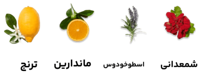 عطر جیبی وودی سنس مدل Percival 