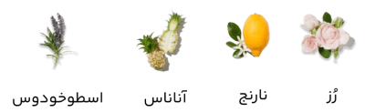 عطر جیبی مردانه وودی سنس مدل Mountain Legend