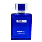 ادو پرفیوم عطر ادکلن مردانه رودیر پلاس مدل In Blue