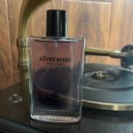 ادو پرفیوم / عطر و ادکلن مردانه وودی سنس مدل سیلور سنت Silver Scent حجم 100 میلی لیتر