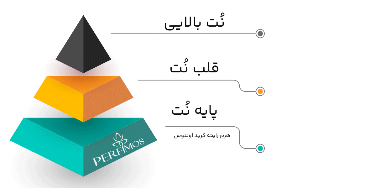 هرم نت ها / رایحه های عطر کرید اونتوس