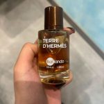 عطر جیبی مردانه بایلندو مدل تر د هرمس TERRE D HERMES حجم 35 میلی لیتر